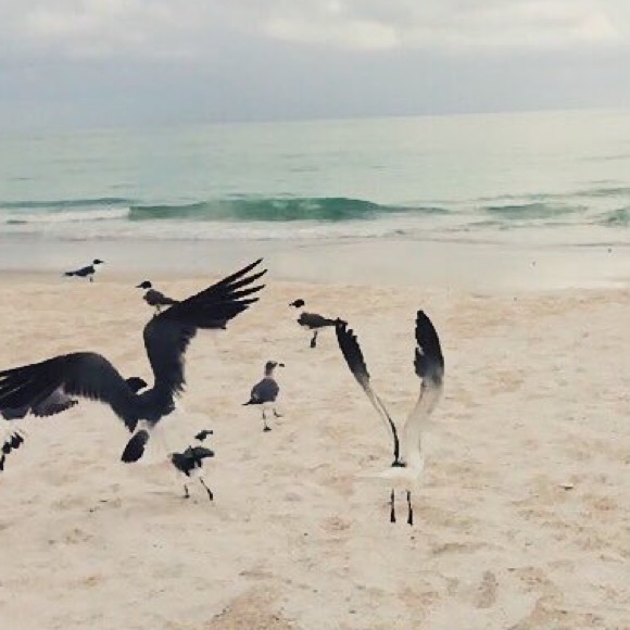 LIKE THIS + BOOKMARK MY CLOSET 🖤 - Picture 7 of 10